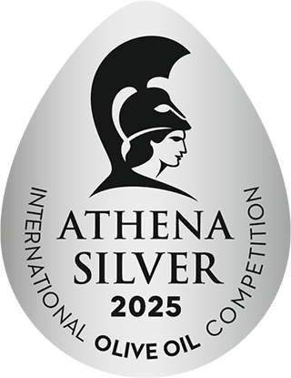 athena-international-oo-competition-may-2025-silver-in-eh.png