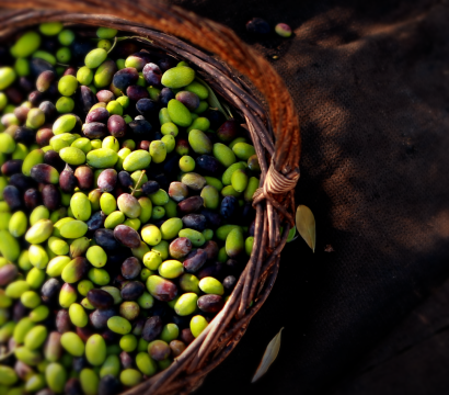Πώς να επιλέξετε βιολογικό ελαιόλαδο στο ράφι: τι να προσέξετε στην ετικέτα. Το βιολογικό ελαιόλαδο κοστίζει περισσότερο; Και γιατί αξίζει.
