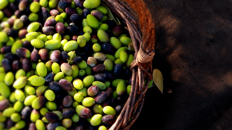 Πώς να επιλέξετε βιολογικό ελαιόλαδο στο ράφι: τι να προσέξετε στην ετικέτα. Το βιολογικό ελαιόλαδο κοστίζει περισσότερο; Και γιατί αξίζει.