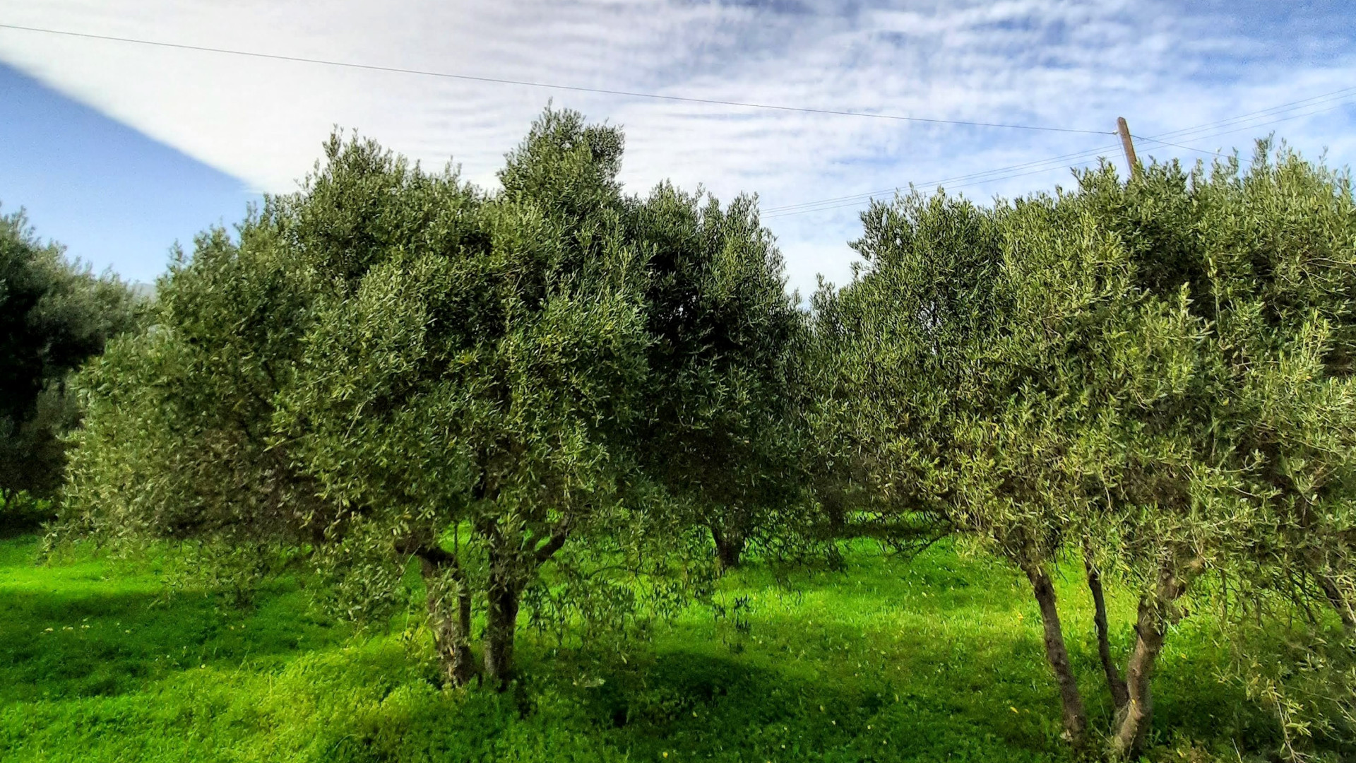 Πρακτικές Βιωσιμότητας