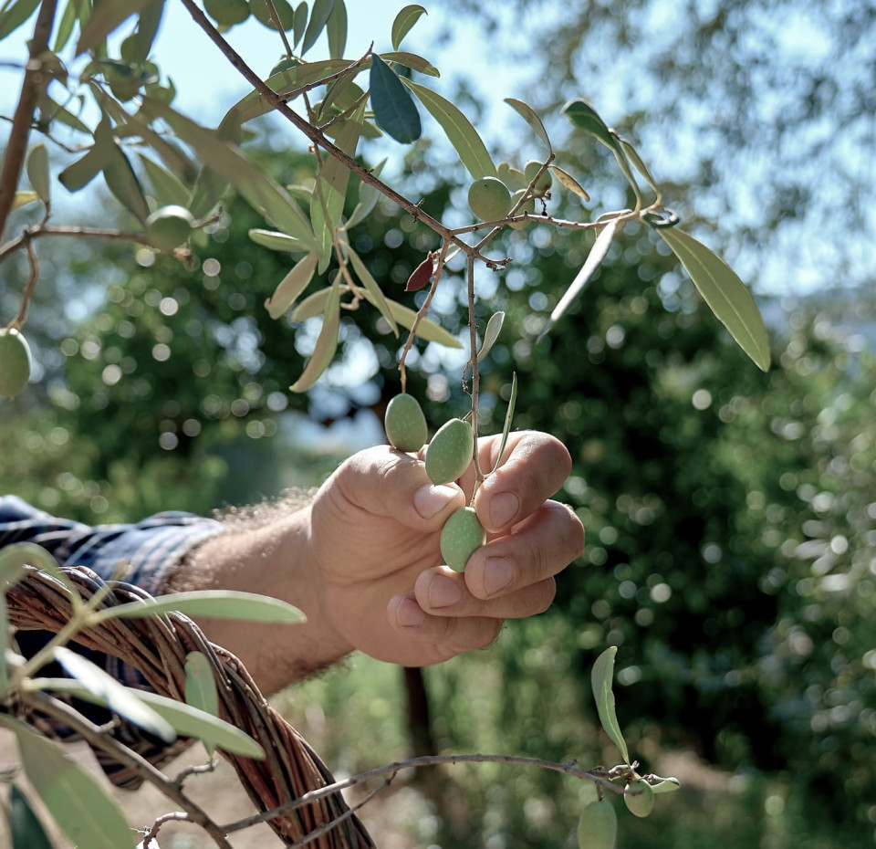 Πρακτικές Βιωσιμότητας